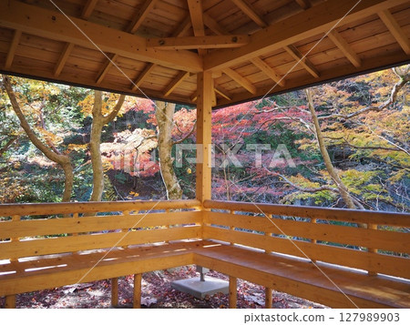 Shosenkyo, a famous spot for viewing autumn leaves in Yamanashi Prefecture 127989903