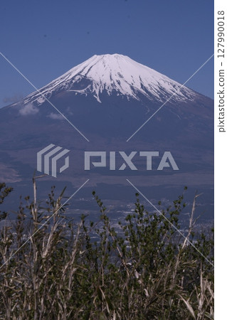 從長尾山口眺望富士山 從長尾山口眺望富士山 127990018