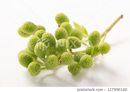 Sansho fruit 127990189