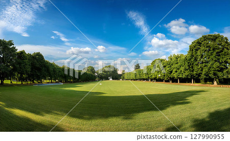 Blue sky and grass in a large park 127990955