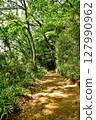 Walking along the ridges of the Tama Hills 127990962