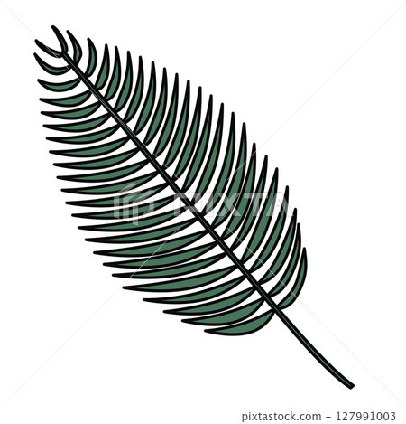 Simple palm leaf illustration 127991003