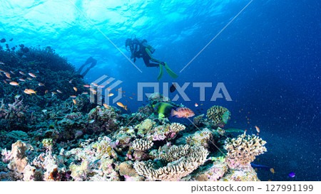 Diving scene in the sea of Iriomote Island Diving scene in the sea of Iriomote Island 127991199
