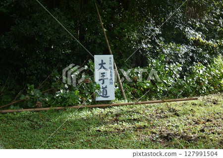 Scenery of Sadowara Castle (mountain castle) in Miyazaki City 127991504