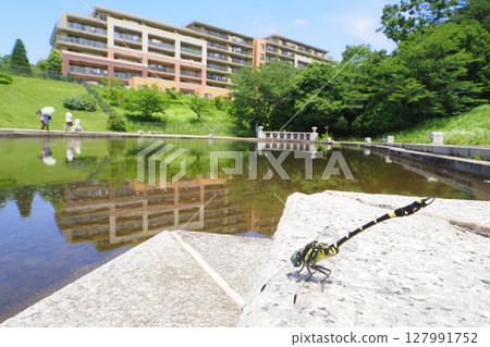 Onagasanae (male) and landscape 127991752