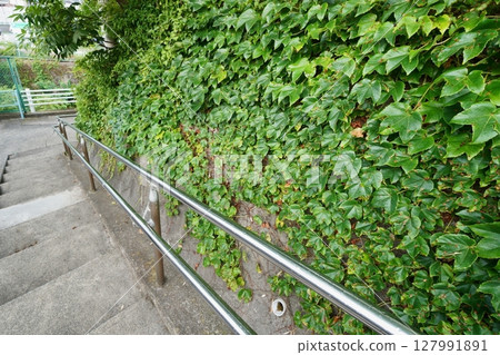 Under the railway overpass: Stairs and handrails covered in greenery 127991891