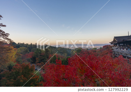 Autumn in Kyoto: Kiyomizu-dera Temple in the morning, Kiyomizu stage and autumn leaves Autumn in Kyoto: Kiyomizu-dera Temple in the morning, Kiyomizu stage and autumn leaves 127992229