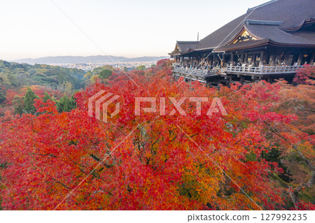Autumn in Kyoto: Kiyomizu-dera Temple in the morning, Kiyomizu stage and autumn leaves Autumn in Kyoto: Kiyomizu-dera Temple in the morning, Kiyomizu stage and autumn leaves 127992235