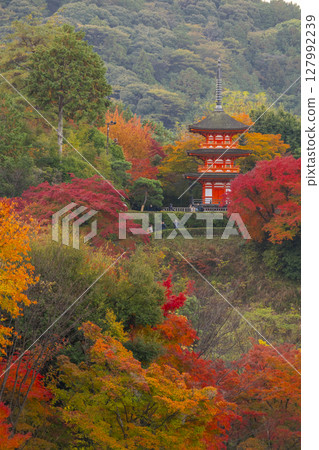 Kiyomizu-dera Temple in autumn: Koyasu Pagoda surrounded by autumn leaves Kiyomizu-dera Temple in autumn: Koyasu Pagoda surrounded by autumn leaves 127992239