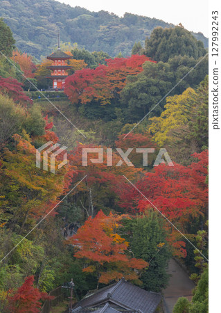 Kiyomizu-dera Temple in autumn: Koyasu Pagoda surrounded by autumn leaves 127992243