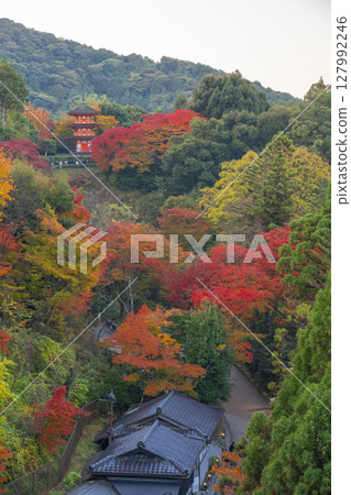 秋天的清水寺：紅葉環繞的子安塔 127992246