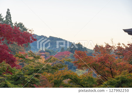 秋天的清水寺:紅葉環繞的子安塔 秋天的清水寺:紅葉環繞的子安塔 127992250