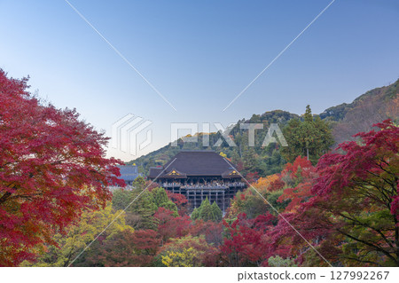 Autumn leaves season: Kiyomizu-dera temple main hall 127992267