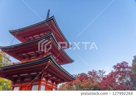 紅葉季節：清水寺 小安塔 127992268