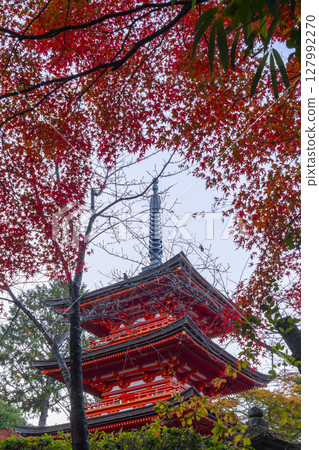 紅葉季節:清水寺 小安塔 紅葉季節:清水寺 小安塔 127992270