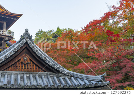 紅葉季節:清水寺境內 紅葉季節:清水寺境內 127992275