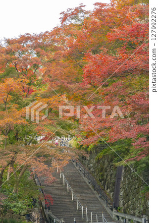 紅葉季節:清水寺境內 紅葉季節:清水寺境內 127992276
