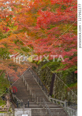 Autumn leaves season: Kiyomizu-dera temple grounds Autumn leaves season: Kiyomizu-dera temple grounds 127992277