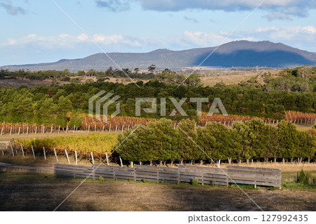 Beautiful view - Apslawn, Tasmania, Australia 127992435