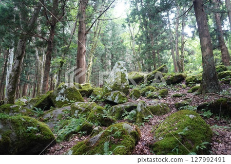 Five hundreds of Tono 127992491