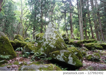 Five hundreds of Tono 127992492