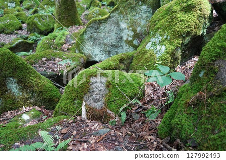 Five hundreds of Tono Five hundreds of Tono 127992493