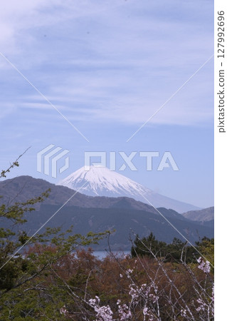 從恩賜箱根公園眺望蘆之湖和富士山 127992696