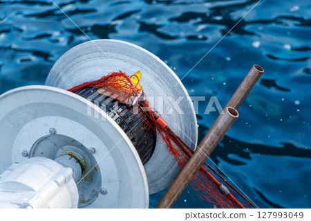 被誤捕的蝴蝶魚。使用刺網捕捉龍蝦。 Hirizohama Nakagi 南伊豆鎮 伊豆半島 靜岡縣 2024 被誤捕的蝴蝶魚。使用刺網捕捉龍蝦。 Hirizohama Nakagi 南伊豆鎮 伊豆半島 靜岡縣 2024 127993049