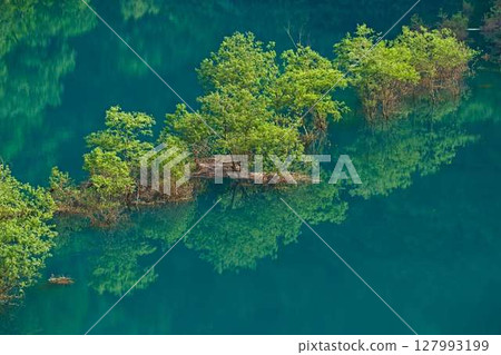 Submerged forest reflected in Lake Akiogi 127993199