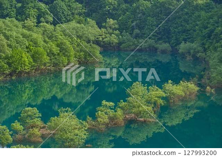 Submerged forest reflected in Lake Akiogi 127993200