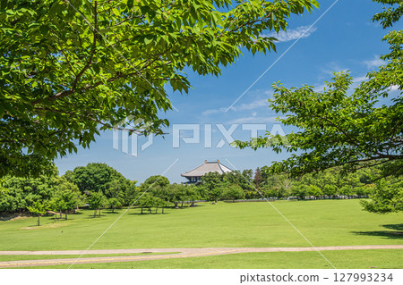 The Great Buddha Hall of Todaiji Temple seen from Kasuganoenchi, Nara Park 127993234