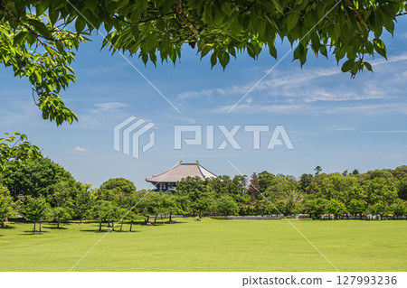 The Great Buddha Hall of Todaiji Temple seen from Kasuganoenchi, Nara Park The Great Buddha Hall of Todaiji Temple seen from Kasuganoenchi, Nara Park 127993236