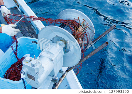 The main target, spiny lobster, was caught. I joined the boat for spiny lobster gill net fishing. Nakagi Hirizo Beach, Minamiizu-cho, Kamo-gun, Izu Peninsula 2024 The main target, spiny lobster, was caught. I joined the boat for spiny lobster gill net fishing. Nakagi Hirizo Beach, Minamiizu-cho, Kamo-gun, Izu Peninsula 2024 127993390