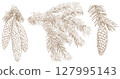 Set fir cone and branch monochrome illustration herbarium pine tree 127995143