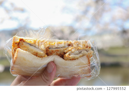 Holding egg sandwiches at a riverside picnic Holding egg sandwiches at a riverside picnic 127995552