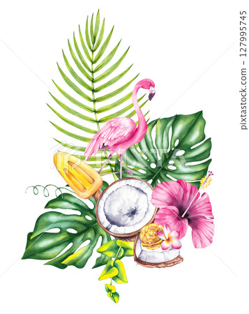 Tropical Summer Flamingo Illustration Collection 127995745