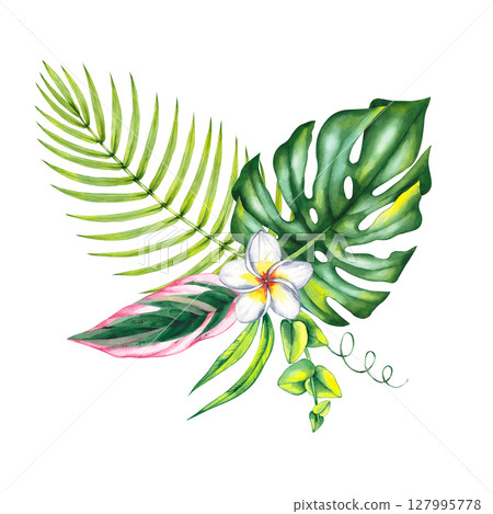 Tropical Summer Flamingo Illustration Collection Tropical Summer Flamingo Illustration Collection 127995778