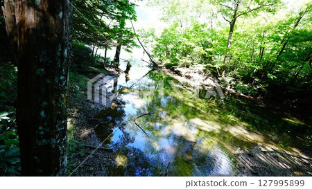Walking in Kamikochi Walking in Kamikochi 127995899