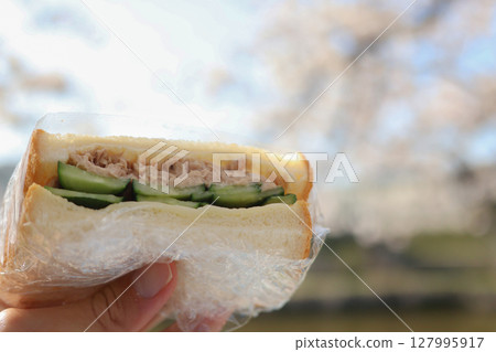 Holding a tuna sandwich at a riverside picnic 127995917