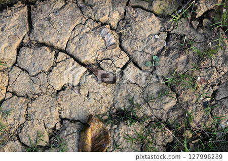Ground Is Cracking And Drying Out, Background for adveartising and wallpaper in nature and texture scene. Ground Is Cracking And Drying Out, Background for adveartising and wallpaper in nature and texture scene. 127996289