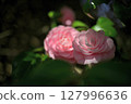 Spring Maidens 127996636