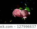 Spring Maidens 127996637