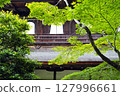 Kyoto's fresh green 127996661