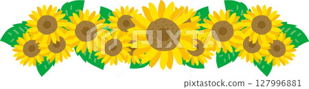 Sunflower frame 127996881