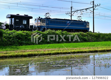 東北本線下行方向行駛的特貨車EF65次，行駛於稻田地帶 127996922