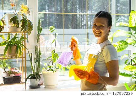 Woman Portrait in rubber gloves and apron manually washes window of house with rag cleaner and mop inside interior with home plants. Restoring order and cleanliness in spring, cleaning servise 127997229