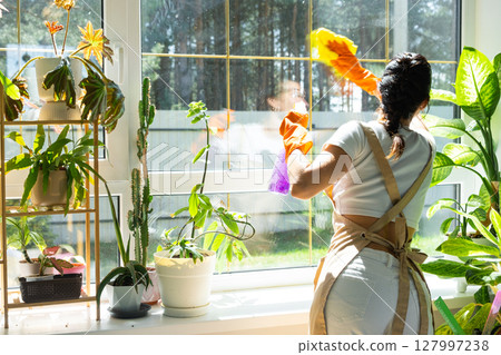 Woman in rubber gloves and apron manually washes window of house with rag cleaner and mop inside interior with home plants on windowsill. Restoring order and cleanliness in spring, cleaning servise 127997238