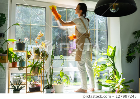 Woman in rubber gloves and apron manually washes window of house with rag cleaner and mop inside interior with home plants on windowsill. Restoring order and cleanliness in spring, cleaning servise 127997243