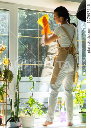 Woman in rubber gloves and apron manually washes window of house with rag cleaner and mop inside interior with home plants on windowsill. Restoring order and cleanliness in spring, cleaning servise Woman in rubber gloves and apron manually washes window of house with rag cleaner and mop inside interior with home plants on windowsill. Restoring order and cleanliness in spring, cleaning servise 127997246