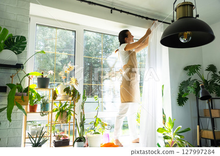 Woman in apron hangs transparent tulle curtains on large windows in the house inside the interior with potted plants. Spring cleaning, tidying up Woman in apron hangs transparent tulle curtains on large windows in the house inside the interior with potted plants. Spring cleaning, tidying up 127997284